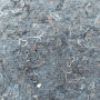 cotonwool
